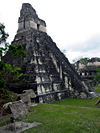 Tikal-der große Jaguar